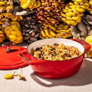 USA Enamel? Cast Iron Dutch Oven