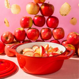 USA Enamel? Cast Iron Dutch Oven